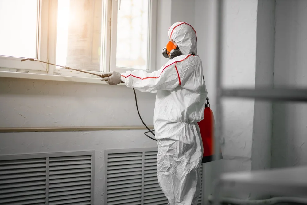 Professional mold remediation services in Burnham, ME
